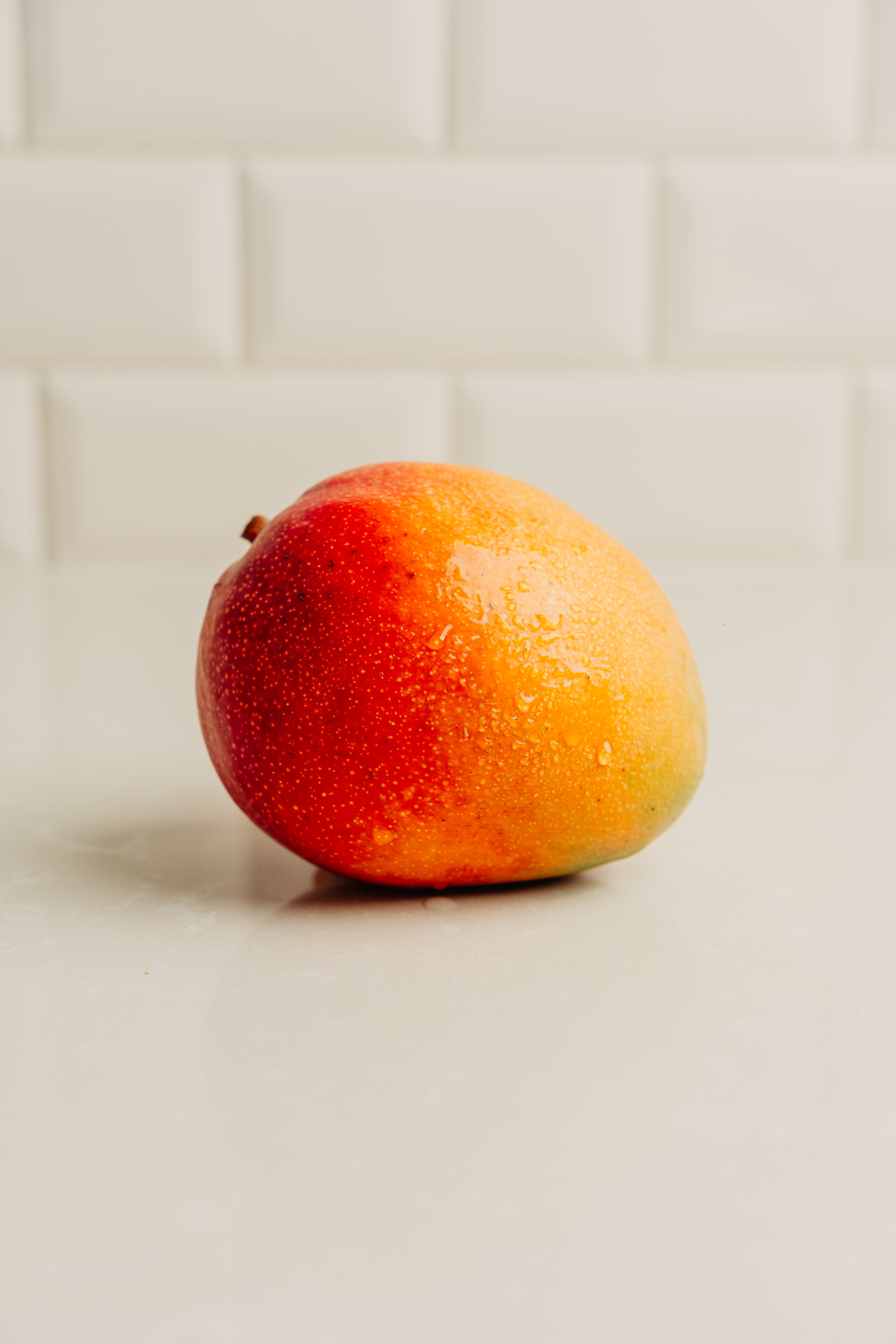 La Primabelle