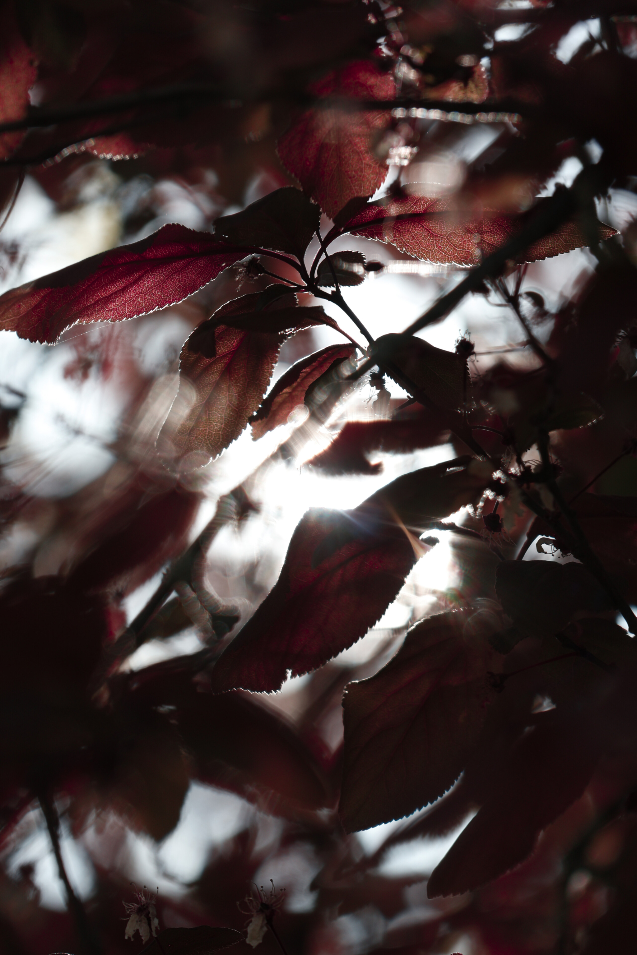 005
